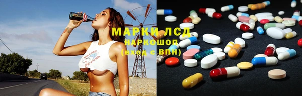 крисы Кодинск