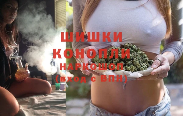 PSILOCYBIN Корсаков