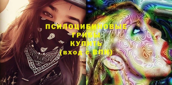 МДМА Козловка