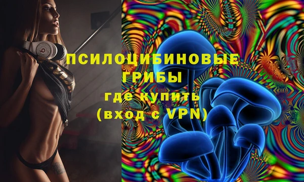 PSILOCYBIN Корсаков