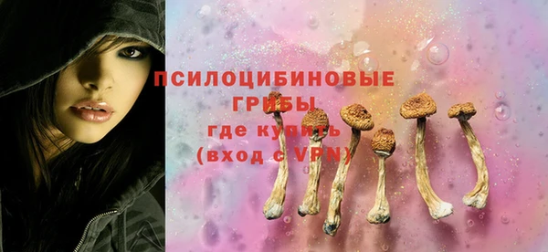 не бодяженный Коряжма