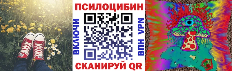 как найти закладки  Красновишерск  Псилоцибиновые грибы мицелий 